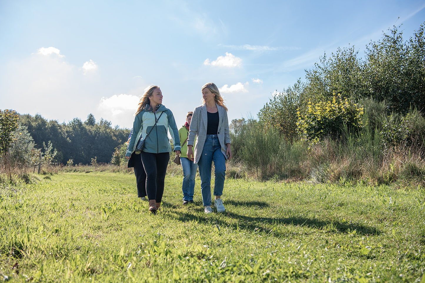 Mijn MPP-brein: individuele coaching